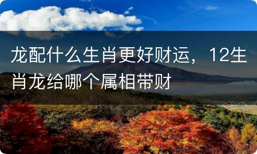 龙配什么生肖更好财运，12生肖龙给哪个属相带财