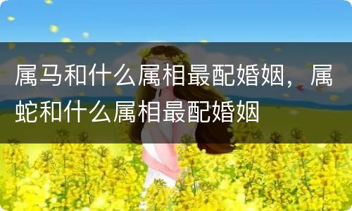 属马和什么属相最配婚姻，属蛇和什么属相最配婚姻