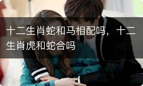 十二生肖蛇和马相配吗，十二生肖虎和蛇合吗