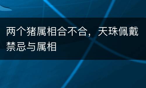 两个猪属相合不合，天珠佩戴禁忌与属相