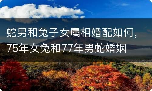 蛇男和兔子女属相婚配如何，75年女兔和77年男蛇婚姻