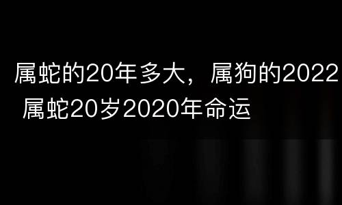 属蛇的20年多大，属狗的2022 属蛇20岁2020年命运