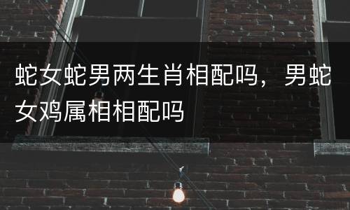 蛇女蛇男两生肖相配吗，男蛇女鸡属相相配吗