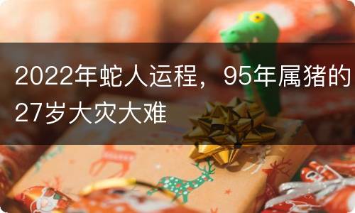 2022年蛇人运程，95年属猪的27岁大灾大难