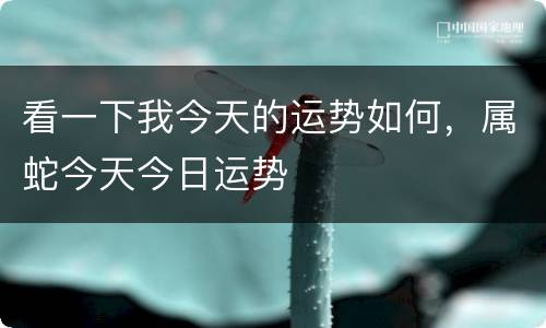 看一下我今天的运势如何，属蛇今天今日运势