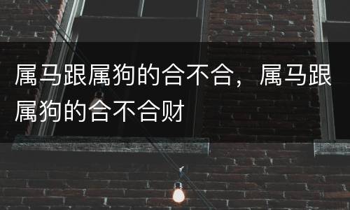 属马跟属狗的合不合，属马跟属狗的合不合财