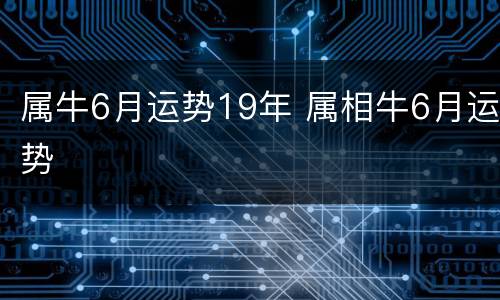 属牛6月运势19年 属相牛6月运势
