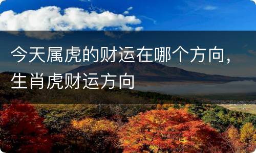 今天属虎的财运在哪个方向，生肖虎财运方向