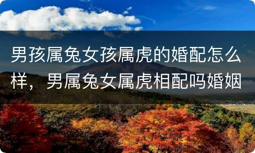 男孩属兔女孩属虎的婚配怎么样，男属兔女属虎相配吗婚姻