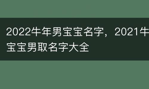 2022牛年男宝宝名字，2021牛宝宝男取名字大全