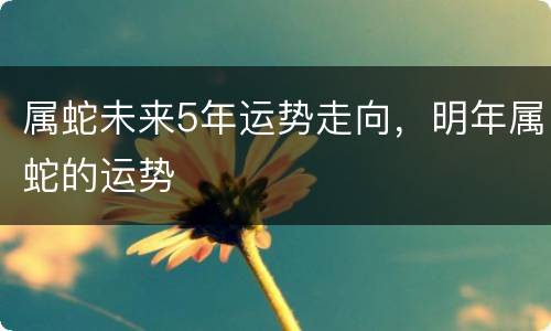 属蛇未来5年运势走向，明年属蛇的运势
