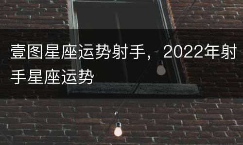 壹图星座运势射手，2022年射手星座运势