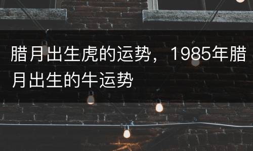腊月出生虎的运势，1985年腊月出生的牛运势