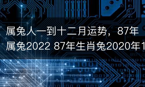 属兔人一到十二月运势，87年属兔2022 87年生肖兔2020年12月运势