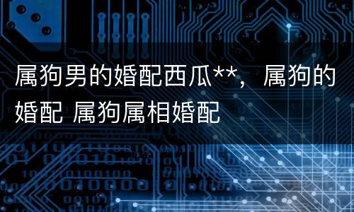 属狗男的婚配西瓜**，属狗的婚配 属狗属相婚配