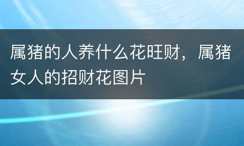 属猪的人养什么花旺财，属猪女人的招财花图片