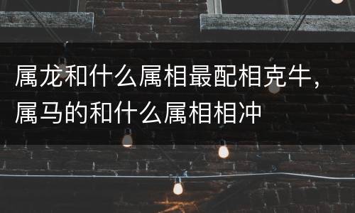 属龙和什么属相最配相克牛，属马的和什么属相相冲