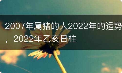 2007年属猪的人2022年的运势，2022年乙亥日柱