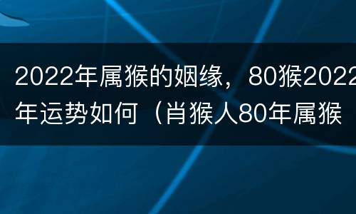 2022年属猴的姻缘，80猴2022年运势如何（肖猴人80年属猴的2022年运气）