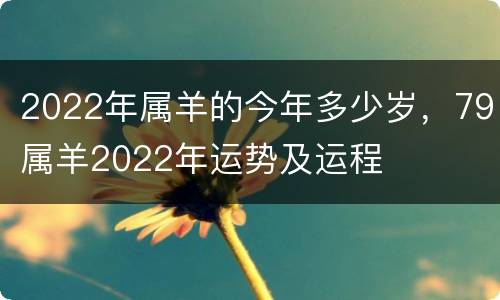 2022年属羊的今年多少岁，79属羊2022年运势及运程