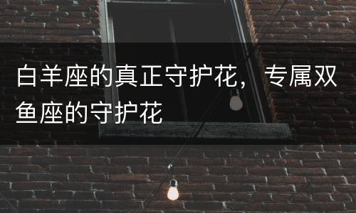 白羊座的真正守护花，专属双鱼座的守护花