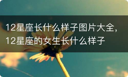 12星座长什么样子图片大全，12星座的女生长什么样子
