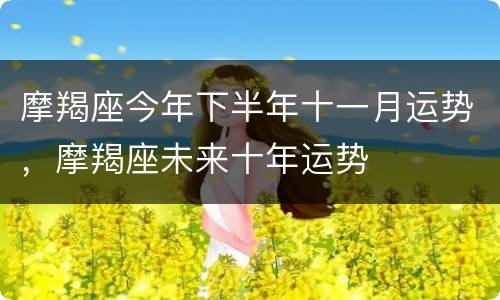 摩羯座今年下半年十一月运势，摩羯座未来十年运势