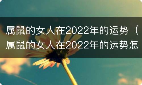 属鼠的女人在2022年的运势（属鼠的女人在2022年的运势怎样）
