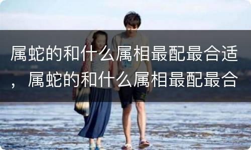 属蛇的和什么属相最配最合适，属蛇的和什么属相最配最合适呢电动车被偷