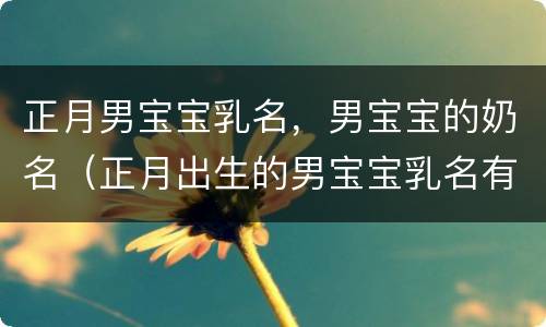 正月男宝宝乳名，男宝宝的奶名（正月出生的男宝宝乳名有哪些）