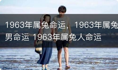 1963年属兔命运，1963年属兔男命运 1963年属兔人命运