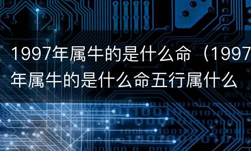 1997年属牛的是什么命（1997年属牛的是什么命五行属什么）