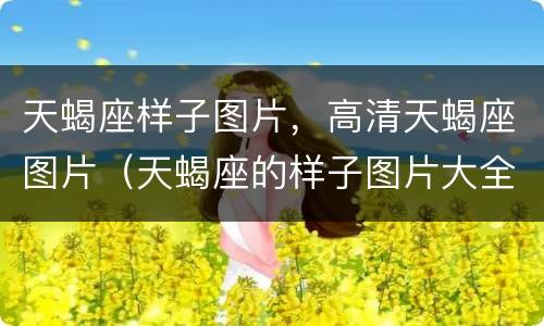 天蝎座样子图片，高清天蝎座图片（天蝎座的样子图片大全）