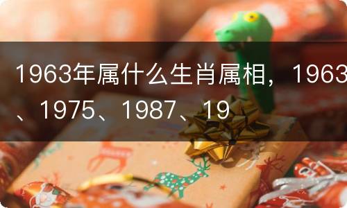 1963年属什么生肖属相，1963、1975、1987、19
