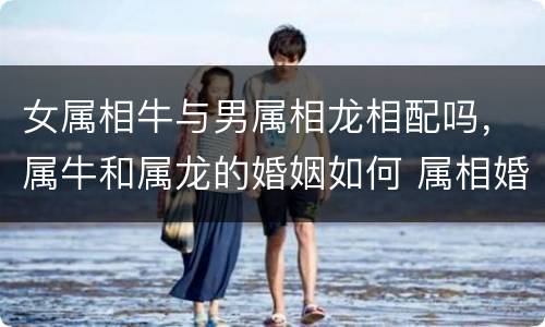 女属相牛与男属相龙相配吗，属牛和属龙的婚姻如何 属相婚配