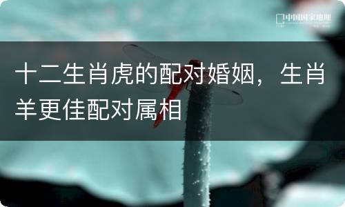 十二生肖虎的配对婚姻，生肖羊更佳配对属相