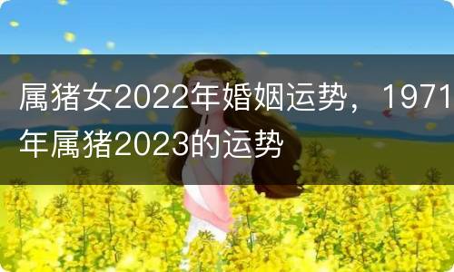 属猪女2022年婚姻运势，1971年属猪2023的运势