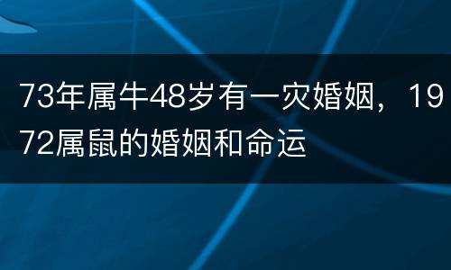 73年属牛48岁有一灾婚姻，1972属鼠的婚姻和命运