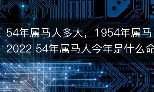 54年属马人多大，1954年属马2022 54年属马人今年是什么命