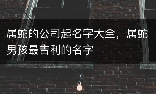 属蛇的公司起名字大全，属蛇男孩最吉利的名字