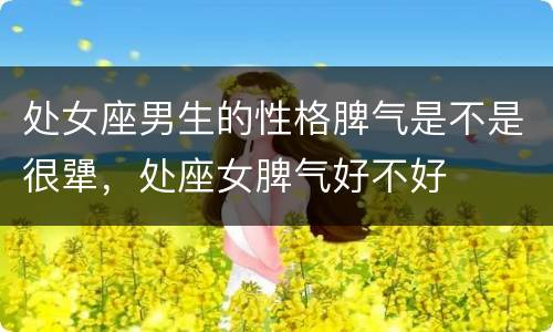 处女座男生的性格脾气是不是很犟，处座女脾气好不好