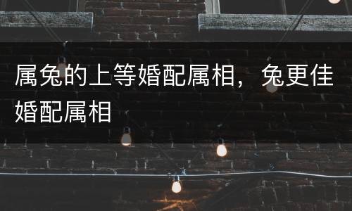 属兔的上等婚配属相，兔更佳婚配属相