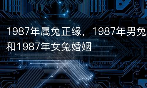 1987年属兔正缘，1987年男兔和1987年女兔婚姻