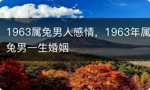 1963属兔男人感情，1963年属兔男一生婚姻