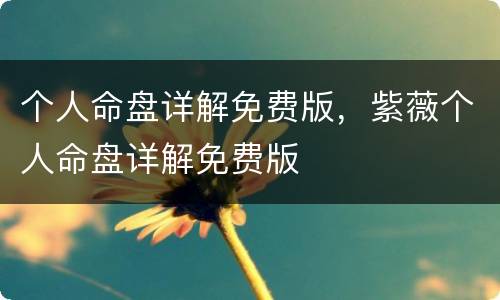 个人命盘详解免费版，紫薇个人命盘详解免费版
