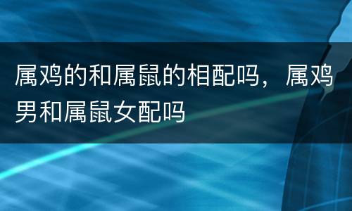 属鸡的和属鼠的相配吗，属鸡男和属鼠女配吗