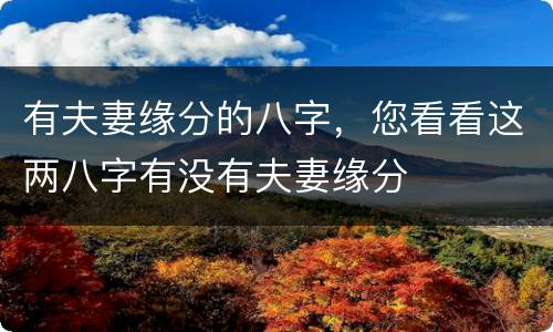 有夫妻缘分的八字，您看看这两八字有没有夫妻缘分
