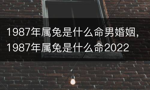 1987年属兔是什么命男婚姻，1987年属兔是什么命2022