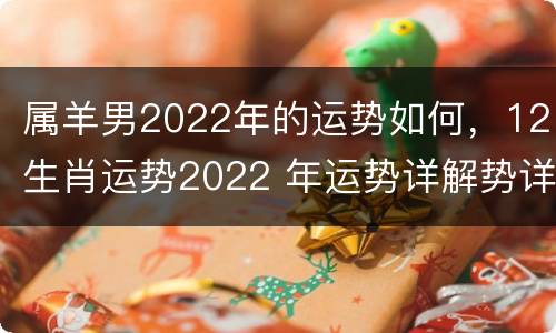 属羊男2022年的运势如何，12生肖运势2022 年运势详解势详解