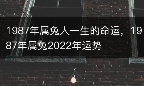 1987年属兔人一生的命运，1987年属兔2022年运势